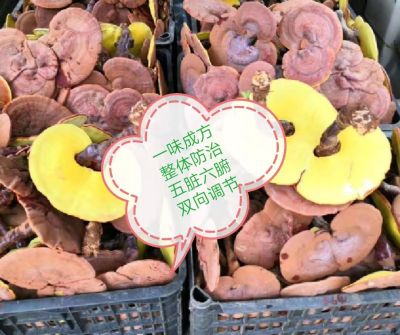 云南耘衡堂生物科技有限公司