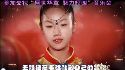 上海森辉乐器有限公司