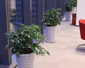 重庆市绿盒子园艺有限公司