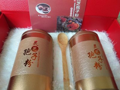 鲁山县董周乡康力加灵芝种植场