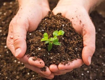 陕西易朴生态农业科技有限公司