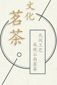 昆明齐善鼎商贸有限公司