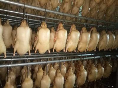 肃宁县宏远肉鸭养殖有限责任公司