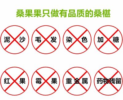 成都桑果果食品有限公司