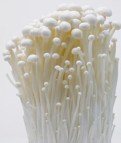 盐城爱菲尔菌菇装备科技股份有限公司