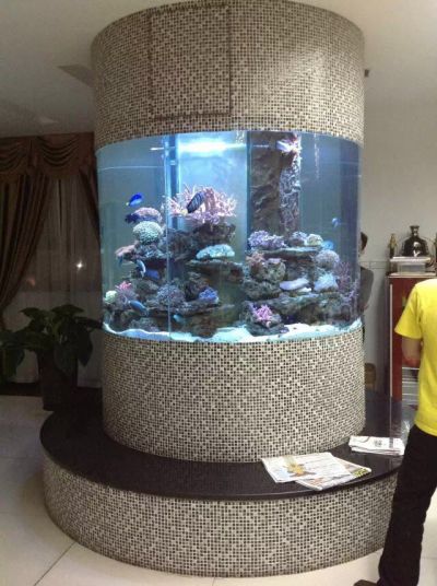 西安秦海宠物用品有限公司