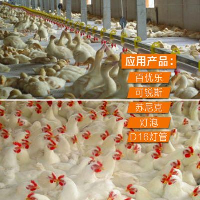 中山市浩祥灯饰有限公司