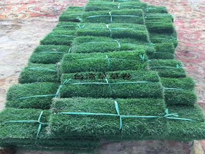 深圳市景园春园艺有限公司