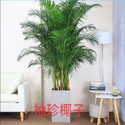 贵州兴颢绿化工程有限公司