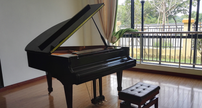 广州市雅迪数码科技有限公司