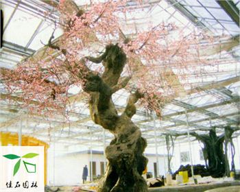 成都佳石园林景观工程有限公司