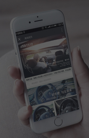 顺晟科技发展有限公司