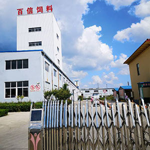 青岛百信饲料有限公司