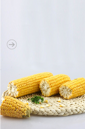 江西省花源绿色食品有限公司