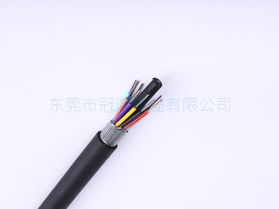 东莞市冠鸿光缆有限公司