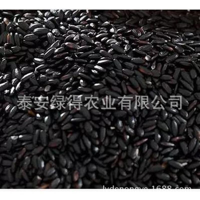 泰安绿得农业有限公司