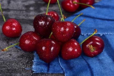 烟台市老程苗木专业合作社