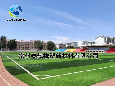 常州泰辉橡塑新材料有限公司