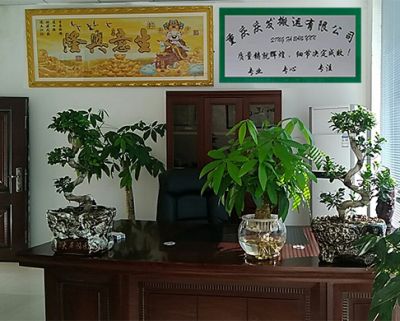 重庆庆发搬运有限公司