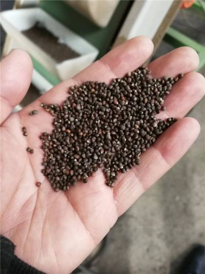 吉林市英石工贸有限公司