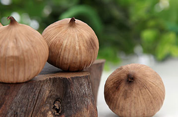 青岛一分田种植专业合作社