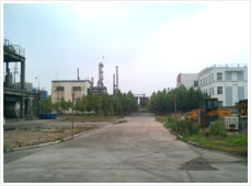 山东丰乐丙炔醇制品厂