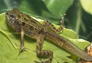 湖北亿兴通商贸有限公司