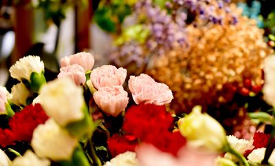 广州帕菲兰香薰精油有限公司