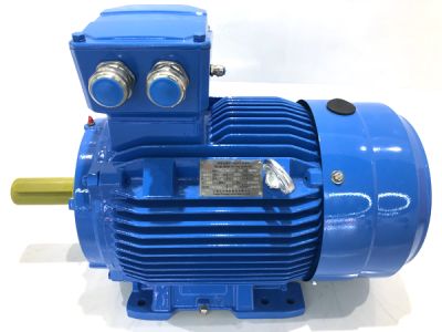 江苏大中电机股份有限公司