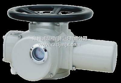 常州诚磊阀门科技股份有限公司