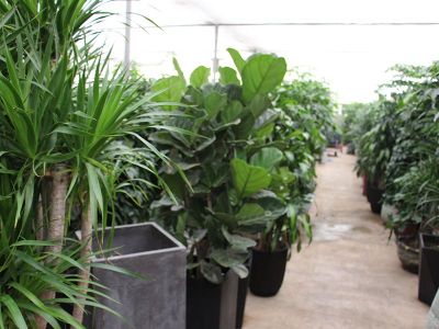 贵州泓利源商贸有限公司