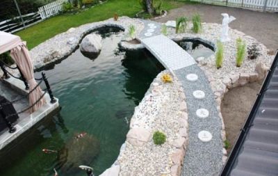 南京文雅景观锦鲤养殖场