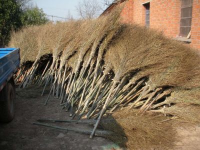 山东九州扫帚合作社