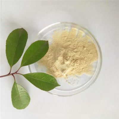 山东玉宝生物科技股份有限公司