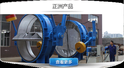 正洲泵阀制造有限公司