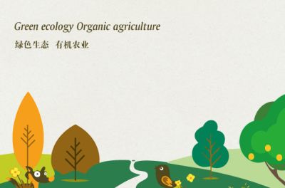 梁子湖绿色食品开发有限公司