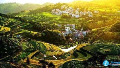 松阳县鲍客寮家庭农场