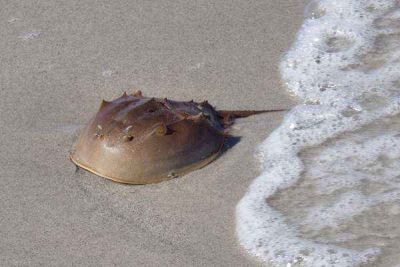 台州舒特橡胶制品有限公司