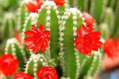 南平市大闽融媒体有限公司