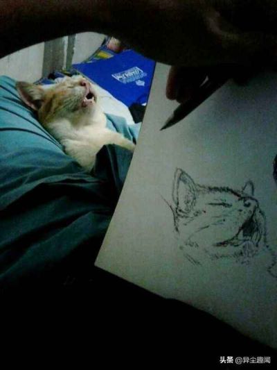 宿松县久安家庭农场