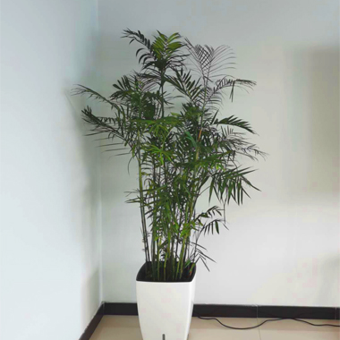 无锡东达景观绿化有限公司