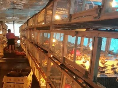 南昌吉嘉农牧发展有限公司