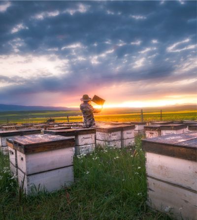洛阳蜂乐园食品有限公司