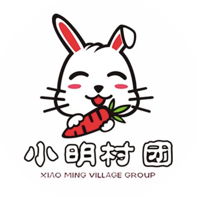 广西几何线科技有限公司