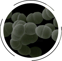 微康益生菌（苏州）股份有限公司