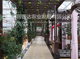 重庆润普达农业发展有限公司