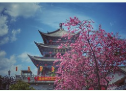 上海品严文旅数据科技有限公司