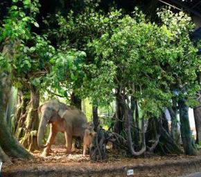 安徽大手雕塑设计有限公司