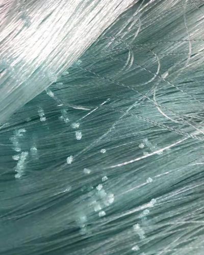 巢湖市强力渔业有限责任公司