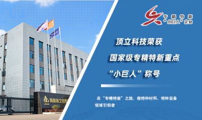 湖南顶立科技有限公司
